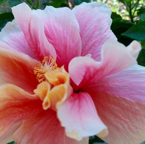 ๐๐๐๐๐๐๐๐๐๐๐๐๐๐๐ - Picture 1 of 3